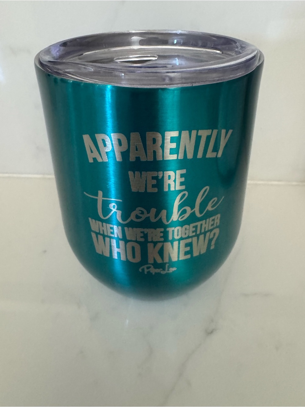NWT Insulated Stainless Steel Wine Tumbler | Funny Friendship Gift